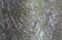 Burntwood Green fibreglass roof work